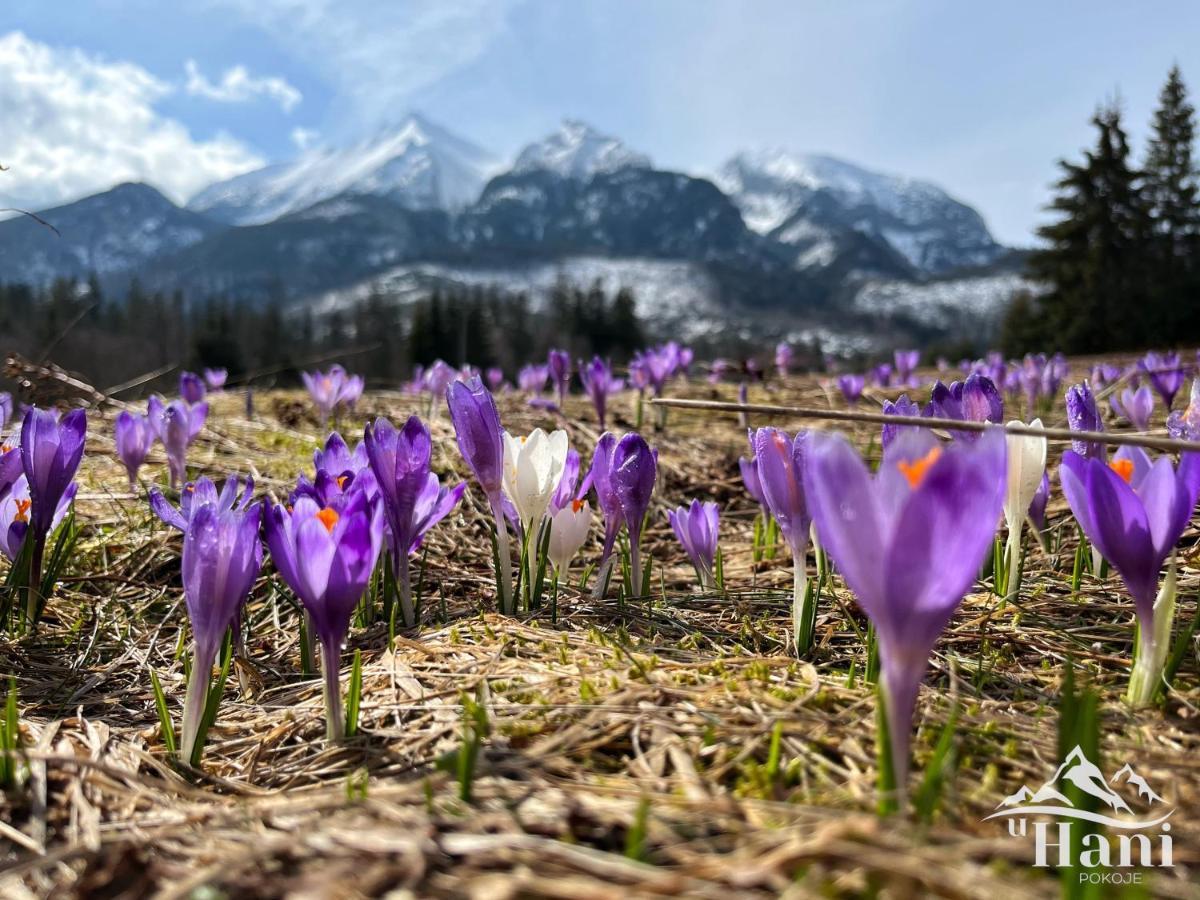 Pokoje U Hani - Sauna, Balia Z Hydromasazem Bukowina Tatrzańska Εξωτερικό φωτογραφία